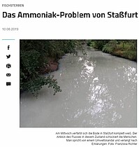Screenshot Artikel 10.08.19 Volksstimme Staßfurt zum Fischsterben in der Bode.