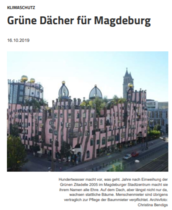 Screenshot Artikel Volksstimme Antrag Ratsfraktion GRUENEfuture zur Dachbegrünung in Magdeburg.