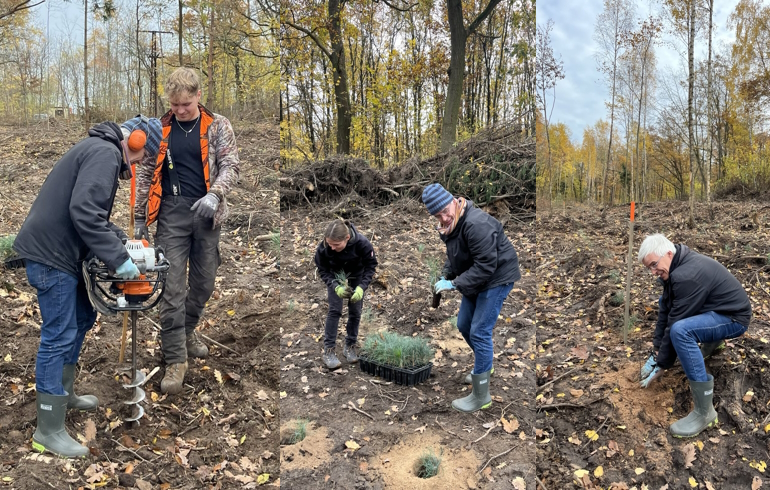 Olaf Meister beim Pflanzloch bohren, verteilen und Pflanzen der Setzlinge.