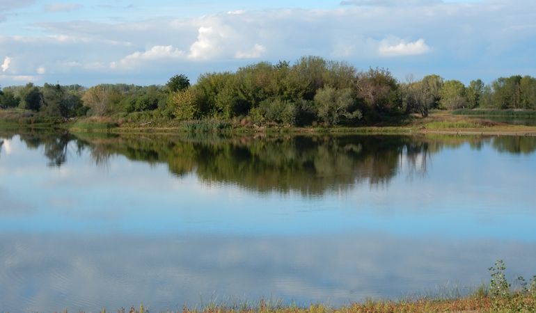 Blick auf den Salbker See mit Insel in der Mitte.