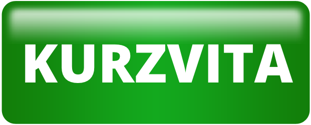 Kurzvita Olaf Meister