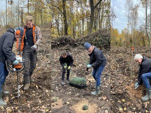 Olaf Meister beim Pflanzloch bohren, verteilen und Pflanzen der Setzlinge.