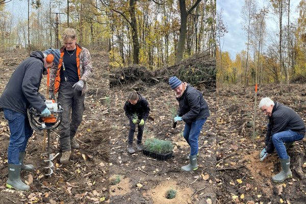 Olaf Meister beim Pflanzloch bohren, verteilen und Pflanzen der Setzlinge.