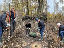 Olaf Meister beim Pflanzloch bohren, verteilen und Pflanzen der Setzlinge.