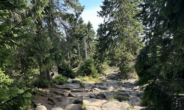 Brocken Aufstieg Eckerloch