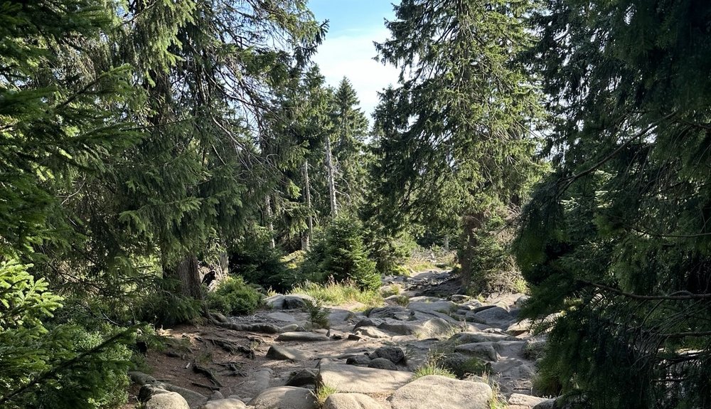 Brocken Aufstieg Eckerloch Brocken Aufstieg Eckerloch