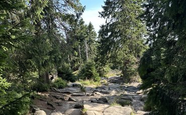 Brocken Aufstieg Eckerloch