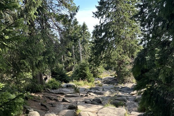 Brocken Aufstieg Eckerloch