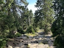 Brocken Aufstieg Eckerloch