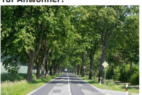 Screenshot Artikel Volksstimme 04.09.18 zu Straßenausbaubeiträgen mit Bild einer Allee.