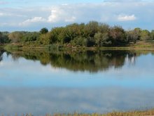 Blick auf den Salbker See mit Insel in der Mitte.