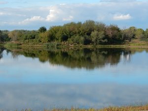 Blick auf den Salbker See mit Insel in der Mitte.