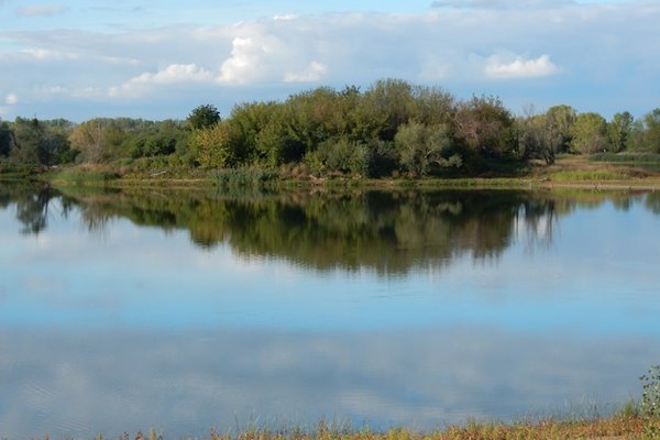 Blick auf den Salbker See mit Insel in der Mitte.