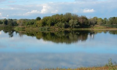Blick auf den Salbker See mit Insel in der Mitte.