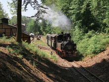 Ausfahrt Dampflok in Magdeburgerforth