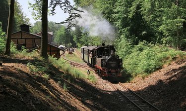 Ausfahrt Dampflok in Magdeburgerforth