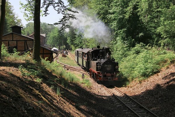 Ausfahrt Dampflok in Magdeburgerforth