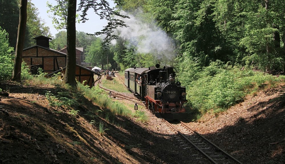 Ausfahrt Dampflok in Magdeburgerforth