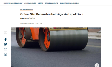 Screenshot Artikel Die Welt Gruene - Strassenausbaubeitraege mausetot.