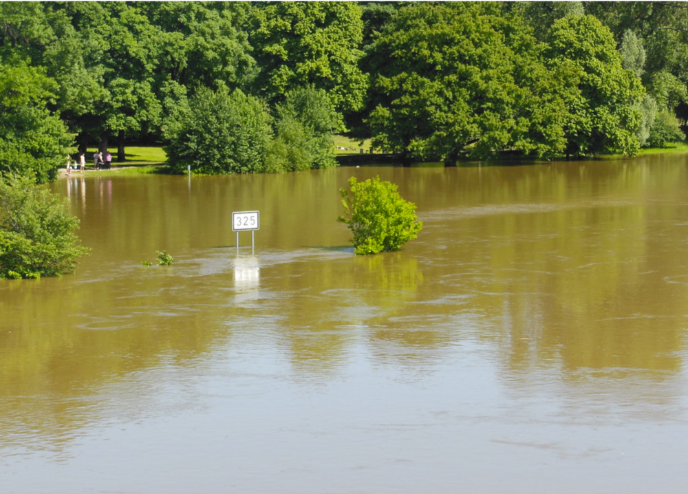 Flut 2013 Elbe Höhe Stadtpark Rotehorn