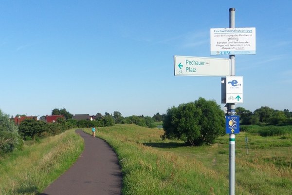 Blick auf den Elberadweg in Pechau entlang des asphaltierten Weges auf des Deichkrone. Vorn ein Hinweisschild auf den Elberadweg und den Pechauer Platz.